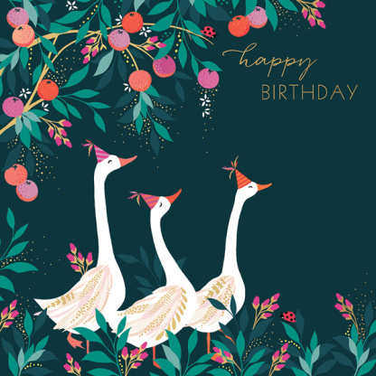 Birthday Card - Geese