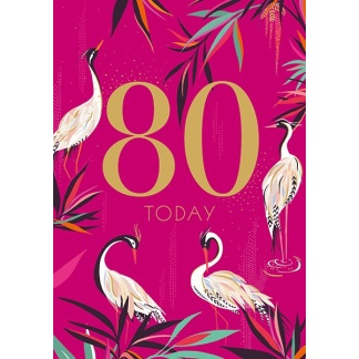 80th Birthday Card - Storks