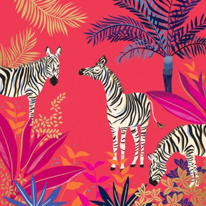 Birthday Card - Zebras