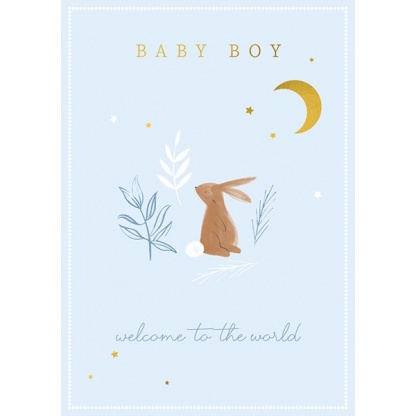 New Baby Card - Baby Boy Welcome to the World