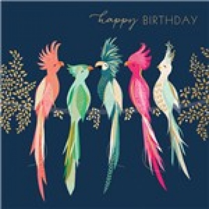 Birthday Card - Parrots