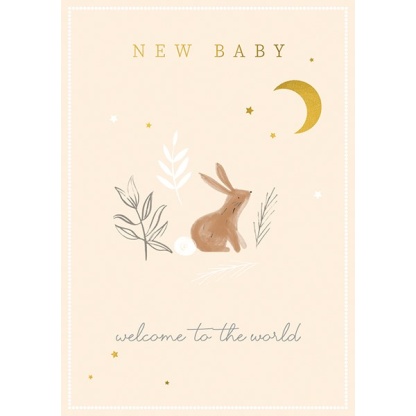 New Baby Card - Welcome to the World