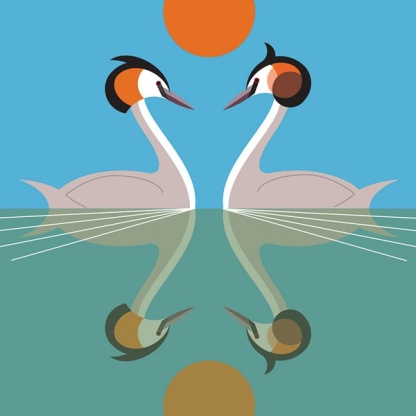 I Like Birds - Great Crested Grebe