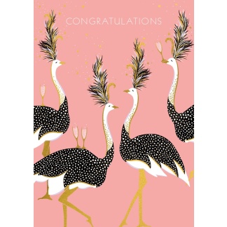 Congratulations Card - Ostriches