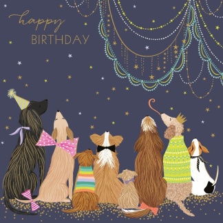 Birthday Card - Party Dogs