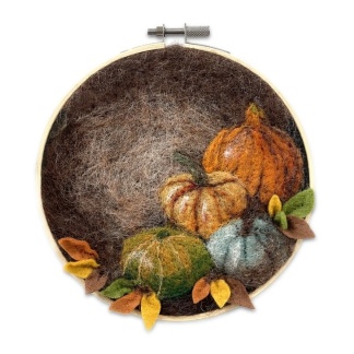 Pumpkin in A Hoop Needle Felt Craft Kit