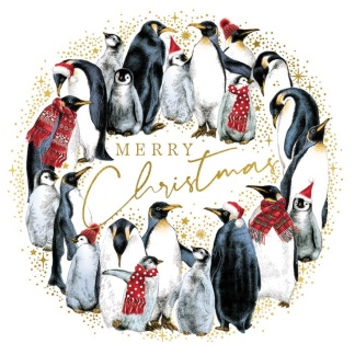 Charity Christmas Card Pack - Penguins