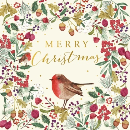 Charity Christmas Card Pack - Robin