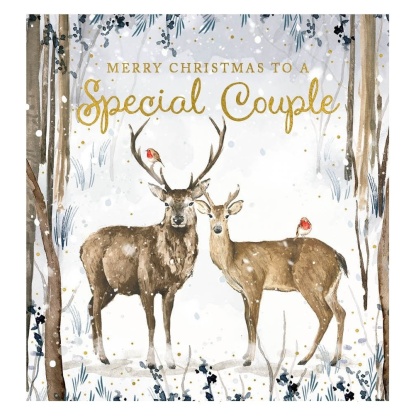 Special Couple Christmas Card - Deer